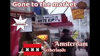 MOST POPULAR AMSTERDAM MARKET | Went to the market | Albert Cuyp Market