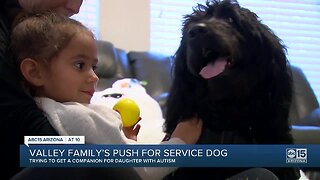 Valley family in desperate need of service dog