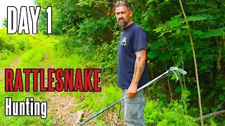 Rattlesnake Hunt: Day 1 | Eastern timber rattler | Venomous Snake | Foraging in Appalachia