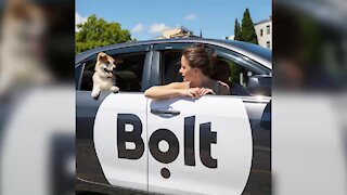 WATCH: Bolt secures €100-million investment to grow services across Europe and Africa (fQo)