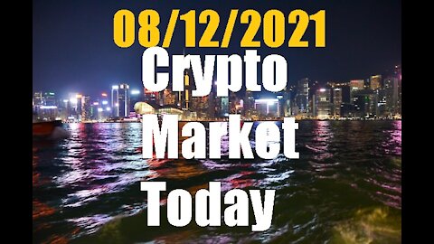 Crypto Market Today 08/12/2021