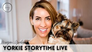 Yorkie Storytime Live | Yorkie chat with Megan Graham
