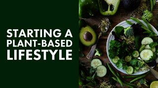 Beginner's Guide To Starting A Plant Based Diet