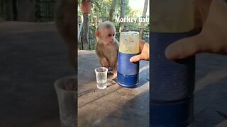 Monkey Baby ❤ #videos #viral