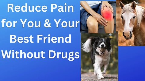 Revolutionary Pain-Reducing Technique for People, Horses & Pets Revealed