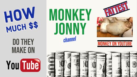 MONKEY JONNY channel - how much do they make on YouTube?