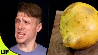 Gamboge Fruit Taste Test | Unusual Foods