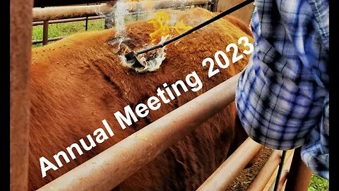 Plans for the Hashknife | Annual Meeting | Ranch Future (In the Chute - Round #111)