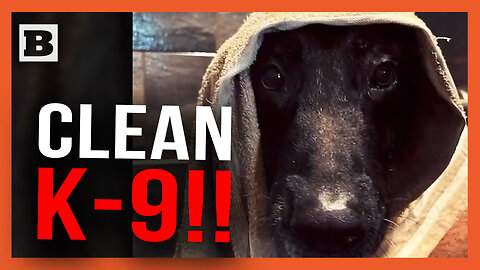 Clean K-9!! Sheriff's Office Posts Video of Police Dog's Bath Time