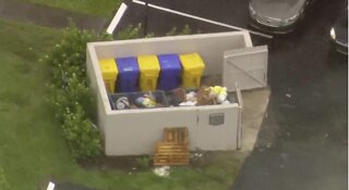 Newborn baby girl found alive in suburban Boca Raton dumpster to be returned to father