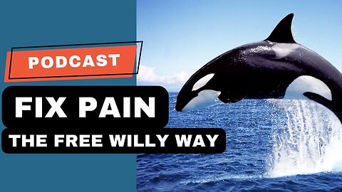 How to Fix Pain (Like a Killer Whale)
