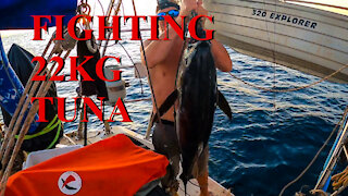 Yellowfin Tuna - Ep 17