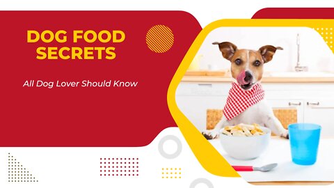 Dog Food Secrets-All Dog Lover Should Know