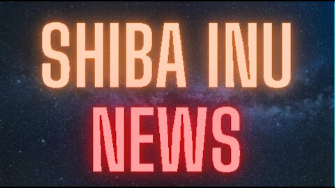 Shiba Inu News