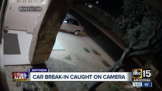 Anthem car break-in suspect caught on camera