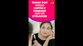 What If Humans Didn't Have Eyelashes *
