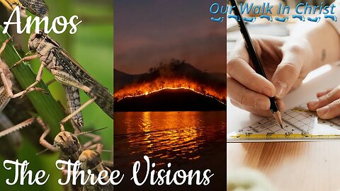 Three Visions and Wrath | Amos 7:1-9