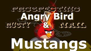 Treasure Hunt - Metal Detecting a 120-year-old Minnesota Farm Day 3 Angry Bird & Mustangs?