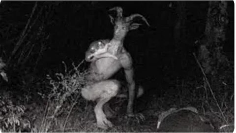 The Tale of The Goatman