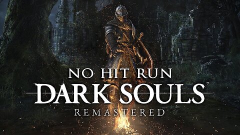 Beat Dark Souls without getting hit a SINGLE time - DSR Any% No Hit