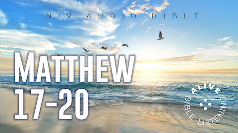 Matthew 17-20 | Alive Bible Listening