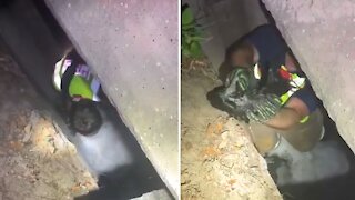 Firefighters rescue kitten from storm drain in Florida Panhandle