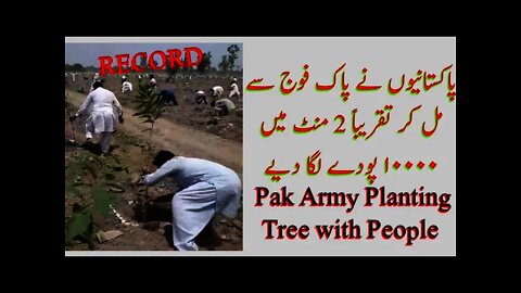 Pakistani Planted 10000 Plants || New Pakistani World Record🌲