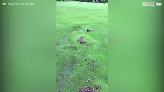 Campo da golf si trasforma in materasso d'acqua