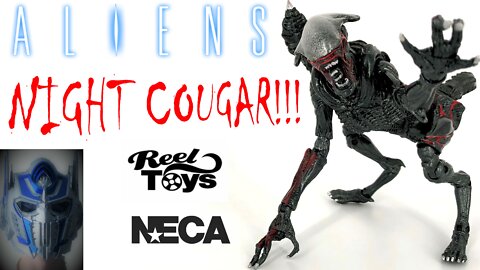 Neca - Aliens Night Cougar Xenomorph Review