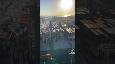 Are The Ports Are Clogged? - Container Ships Backed up