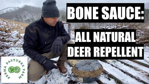 Bone Sauce // Best Natural Deer Repellent