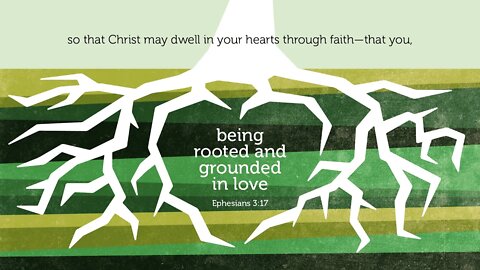 Grounded And Rooted In Faith | Where My Life Is Changed