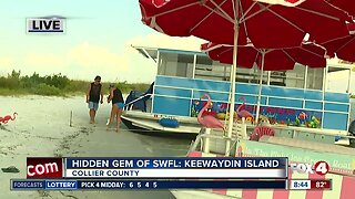 Hidden gem of Southwest Florida: Keewaydin Island - 8:30am live report