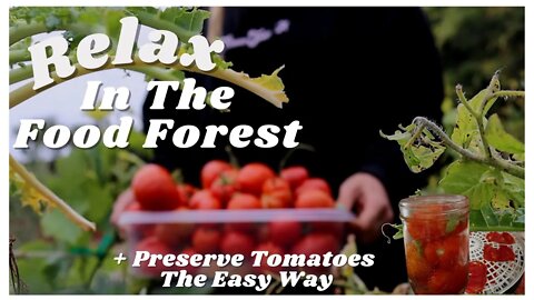 Relaxing Week In The Food Forest Garden + Preserve Tomatoes The Easy (lazy?) Way 🥑🍅🥕🥬