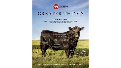 44 Farms 2023 Spring Bull Sale Catalog, Cameron, Texas