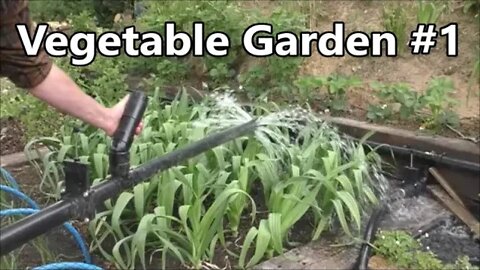 Episode 3 - Vegetable Garden #1 - Project Update