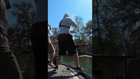 Justin Royal Catches GIANT Bass on a Swimbait #shorts #6thsensefishing #6thsense #fishing
