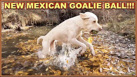 New Mexican Goalie Ball!!!