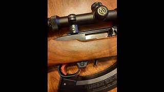 Ruger 10/22- With BX Trigger