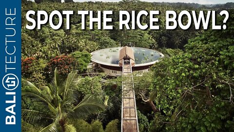 Is this the ULTIMATE Jungle Property? (You Won't Want To Leave!)