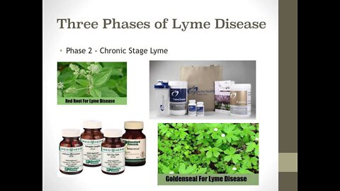 The Lyme Dilemma 3 | Dr. Kevin Conners - Conners Clinic