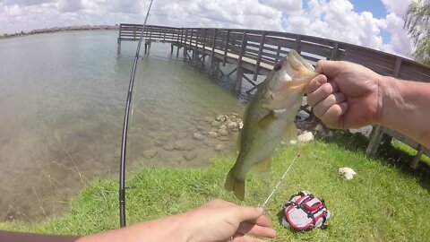 Pflugerville Texas Bass Fishing 2020