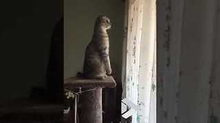 Just checking who's outside || Viral Video UK