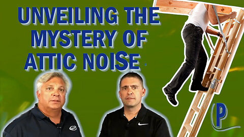 Identifying mysterious noises in attics.