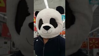 Panda man goes grocery shopping