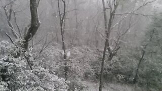 Big Canoe Slow Motion Snowfall - 02/06/21