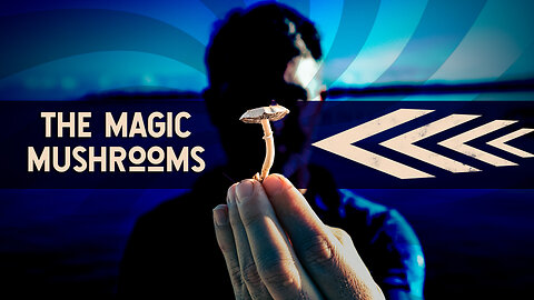 Magic Mushrooms Demystified
