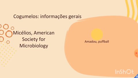 [pt. 2] Cogumelos aumentam a longevidade e a saúde no geral