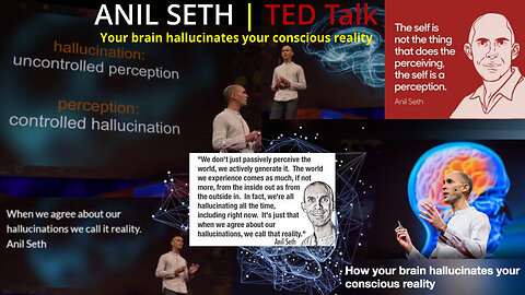 Anil Seth - Your brain hallucinates your conscious reality