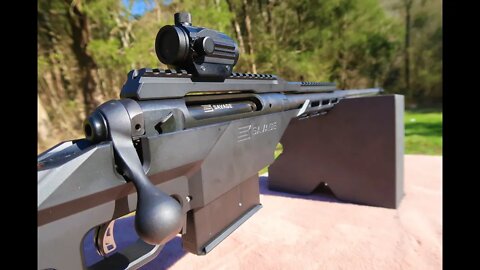 338 Lapua Magnum - Red Dot Sighting in - Savage 110 BA Stealth
